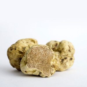 tartufo-bianco-fresco