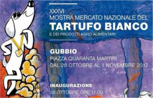 mostra-tartufo-bianco-gubbio
