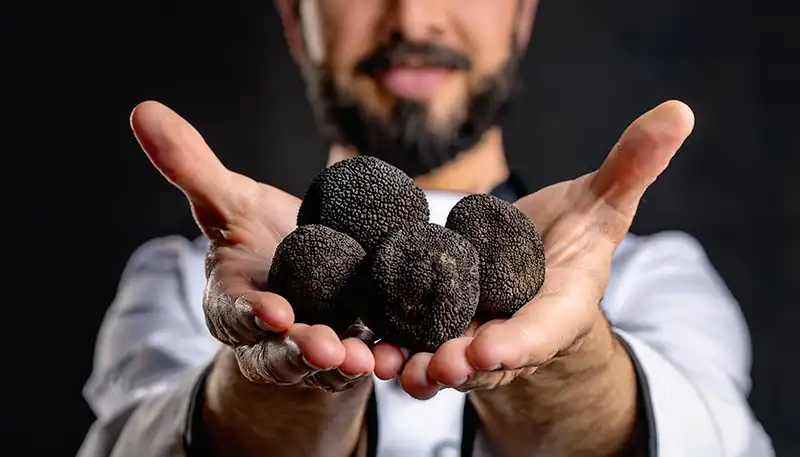 tartufi chef