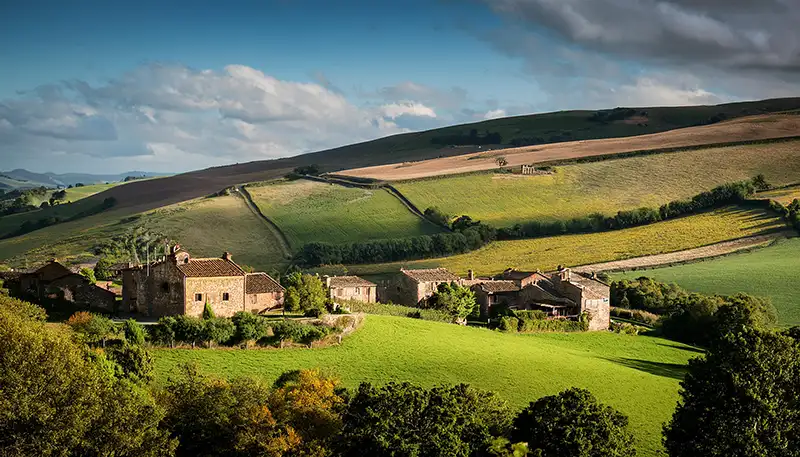Vendita tartufi in umbria